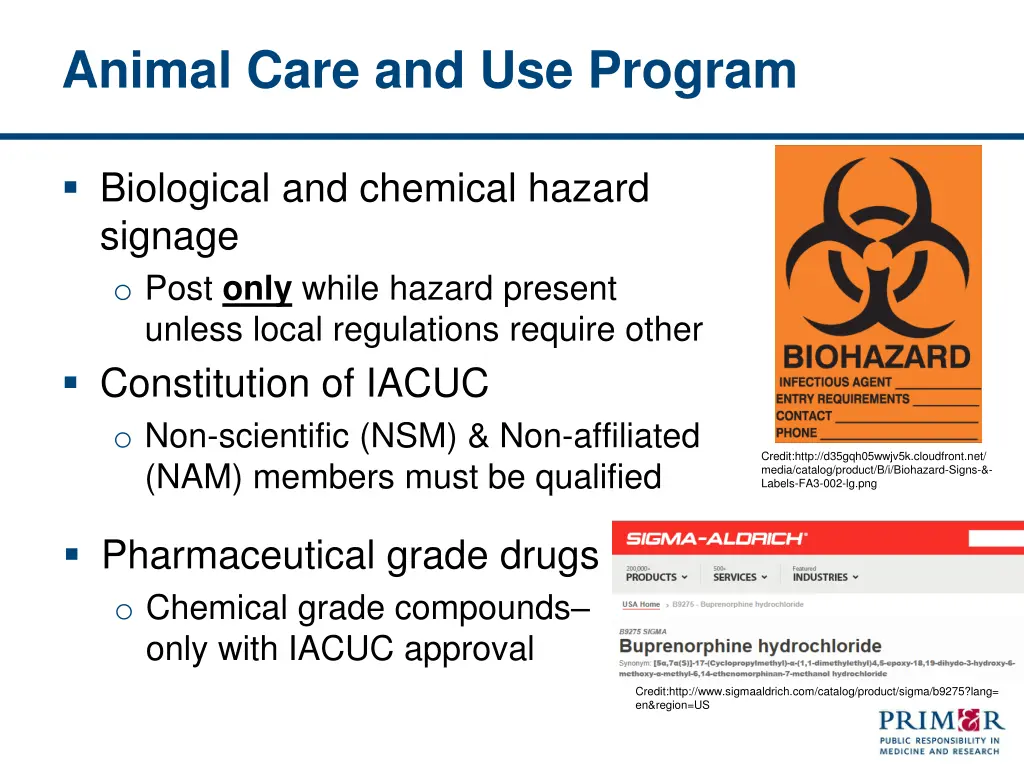 animal care and use program