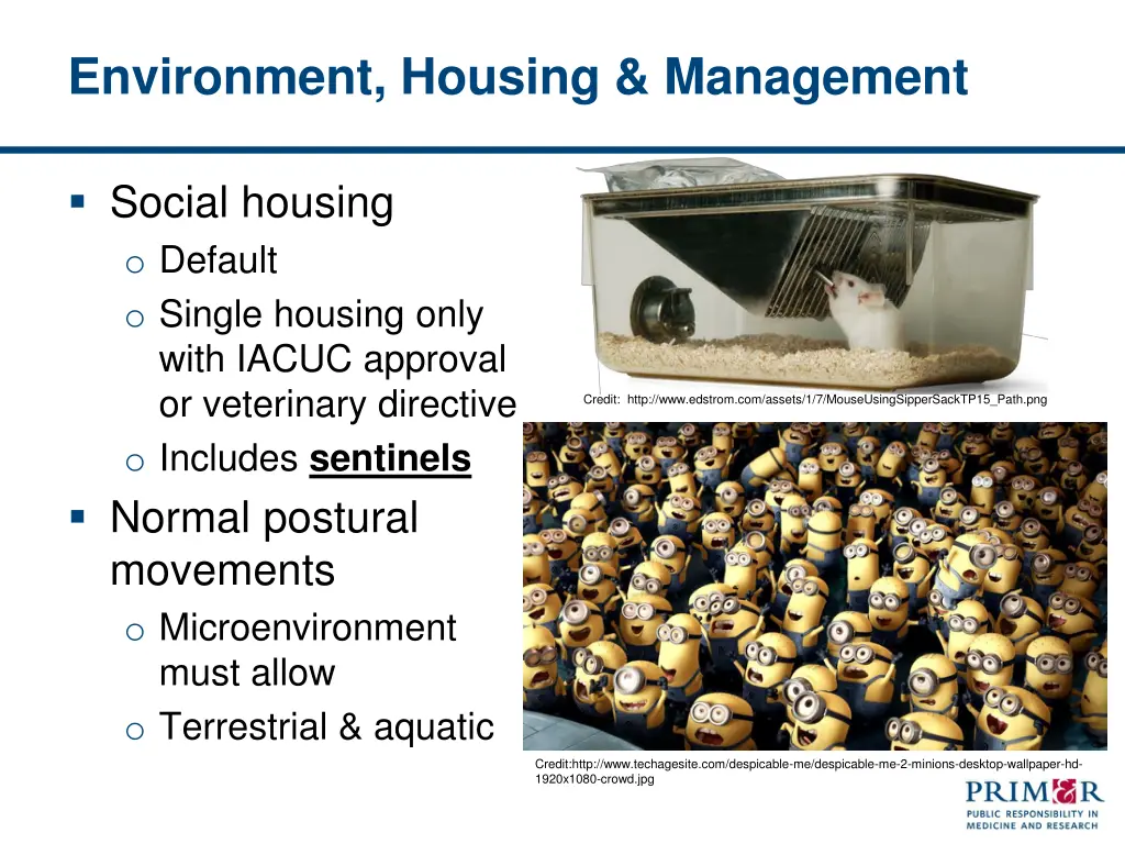 environment housing management