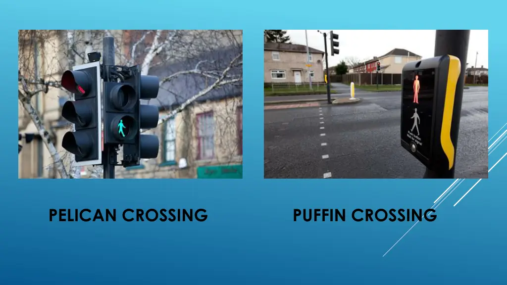 pelican crossing