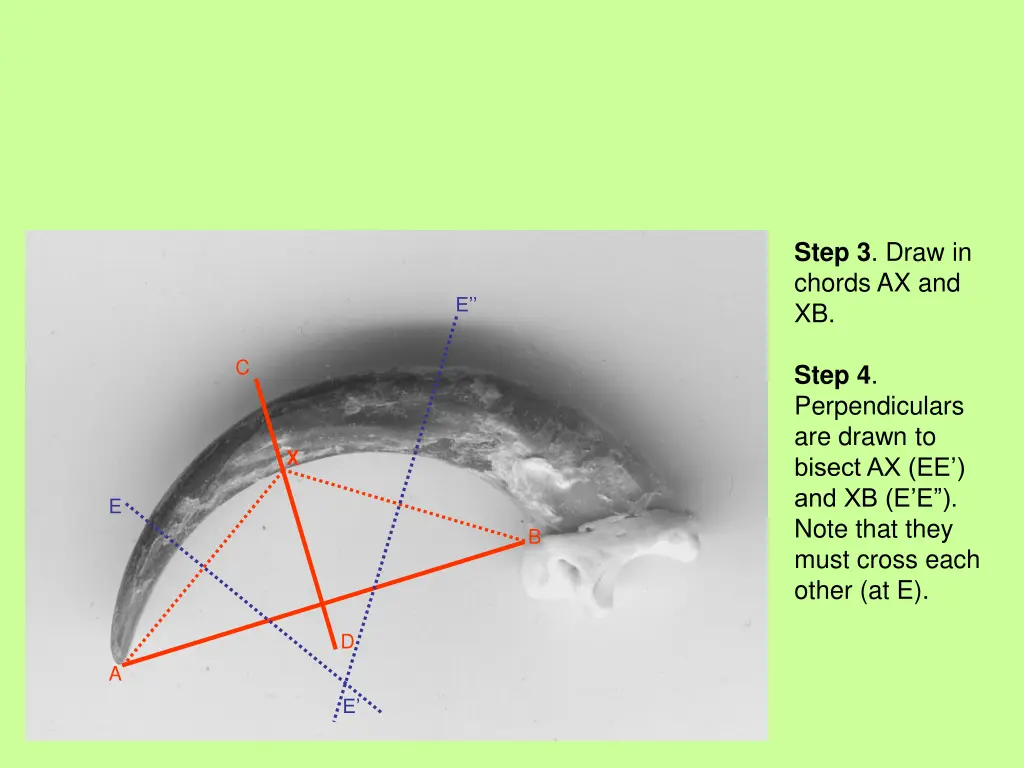 step 3 draw in chords ax and xb