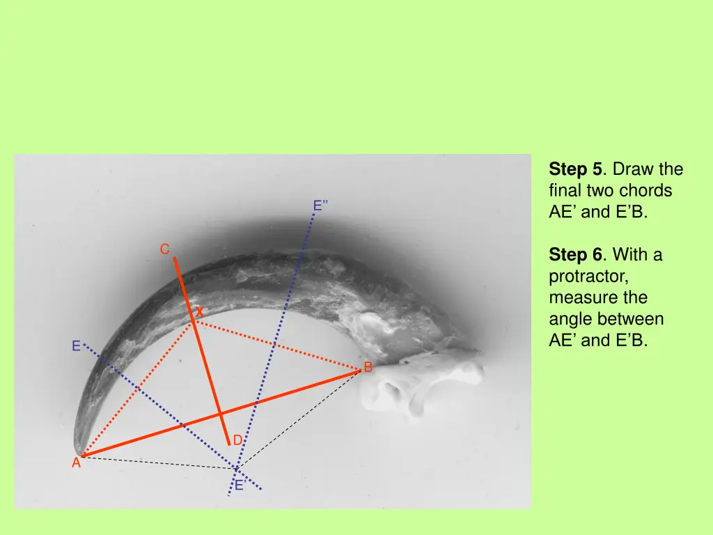 step 5 draw the final two chords ae and e b