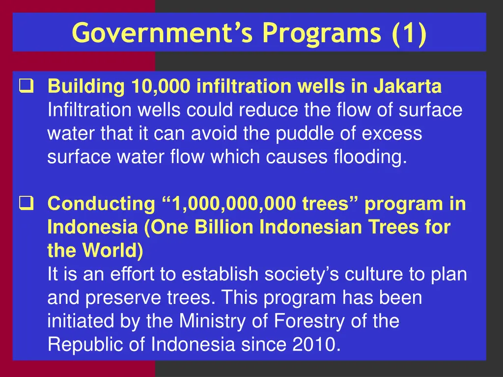 government s programs 1