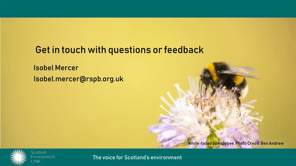 get in touch with questions or feedback