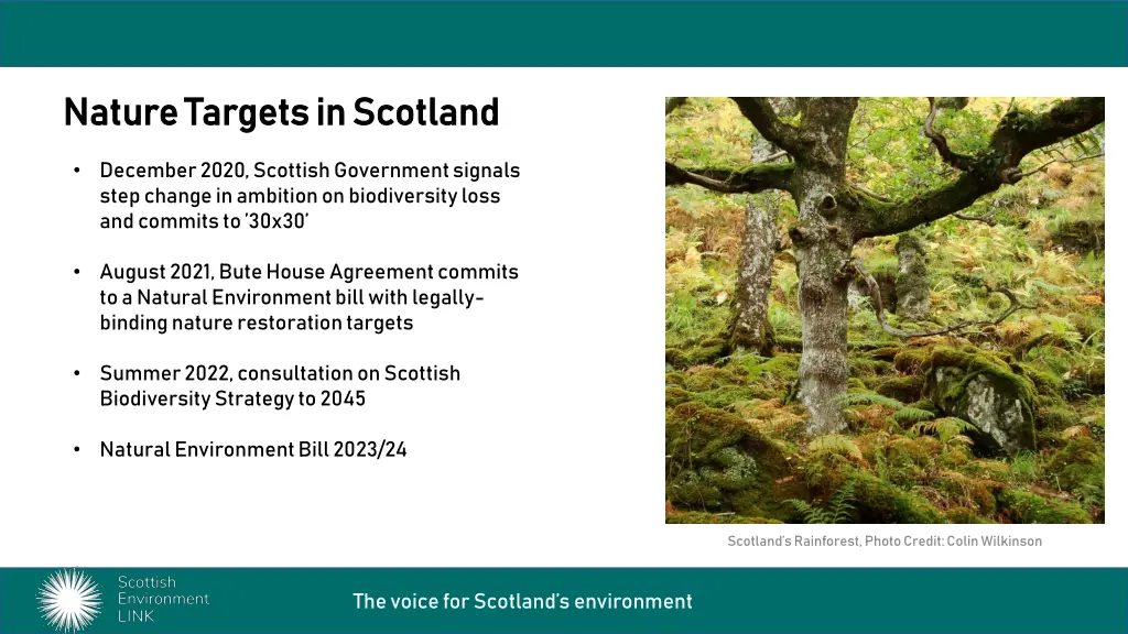 nature targets in scotland nature targets