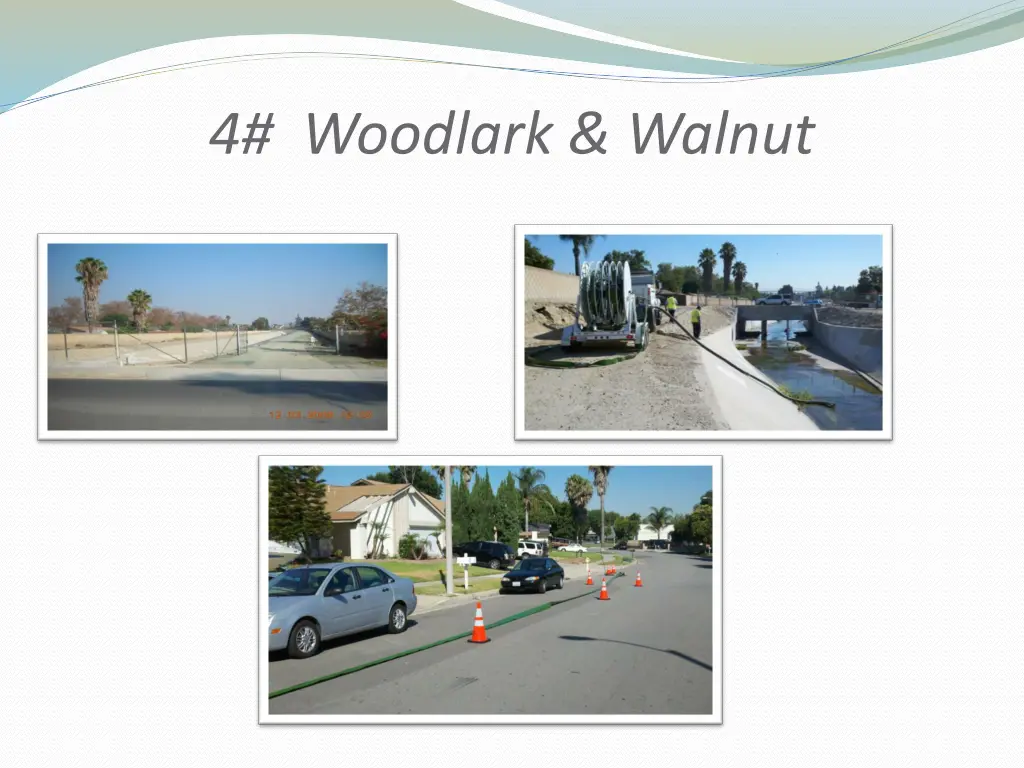 4 woodlark walnut