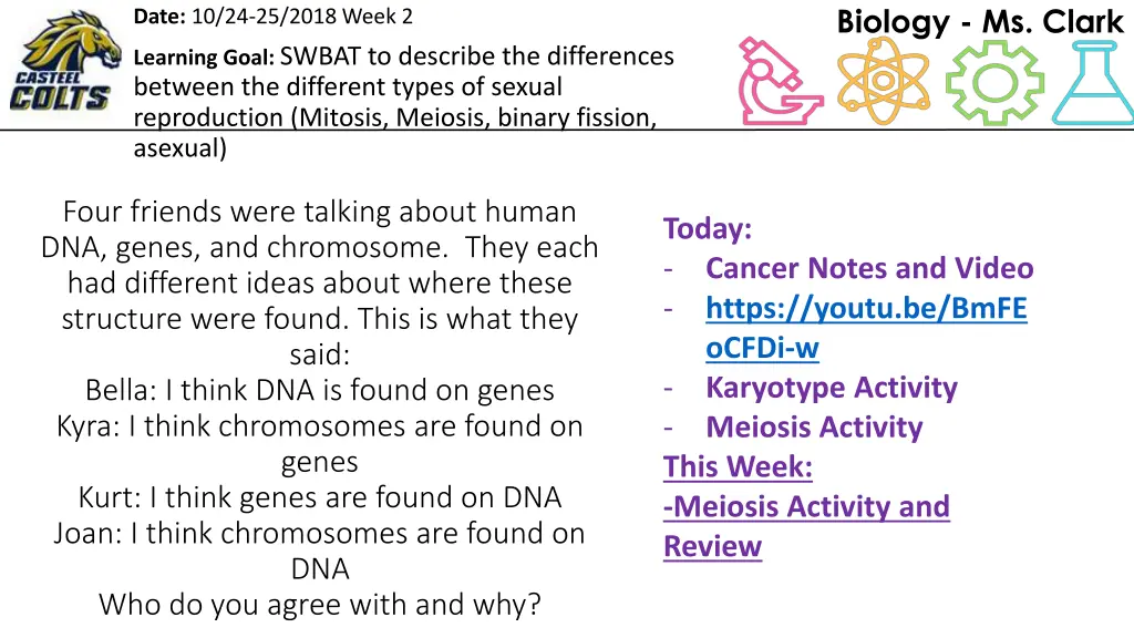 biology ms clark 2