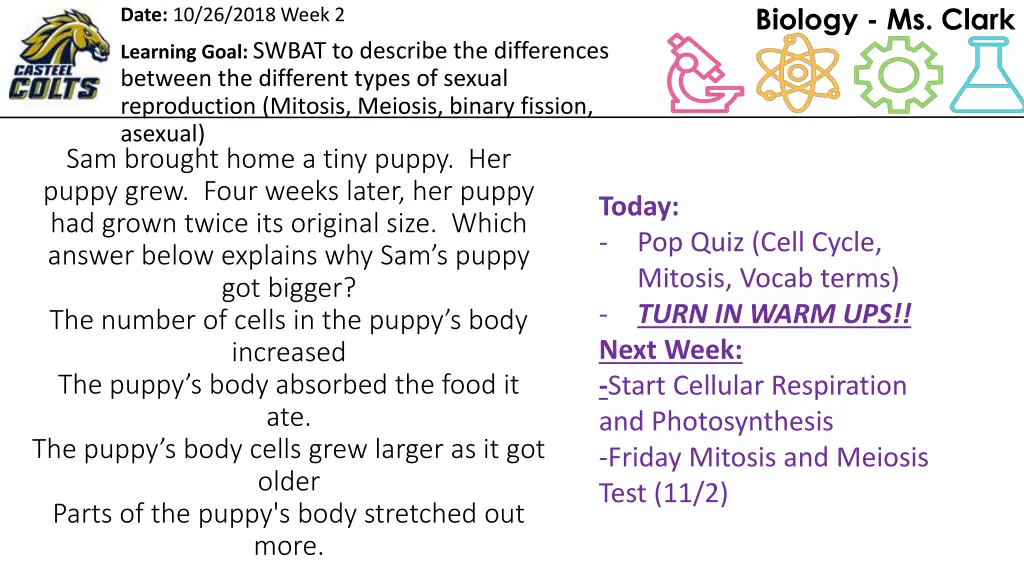 biology ms clark 3