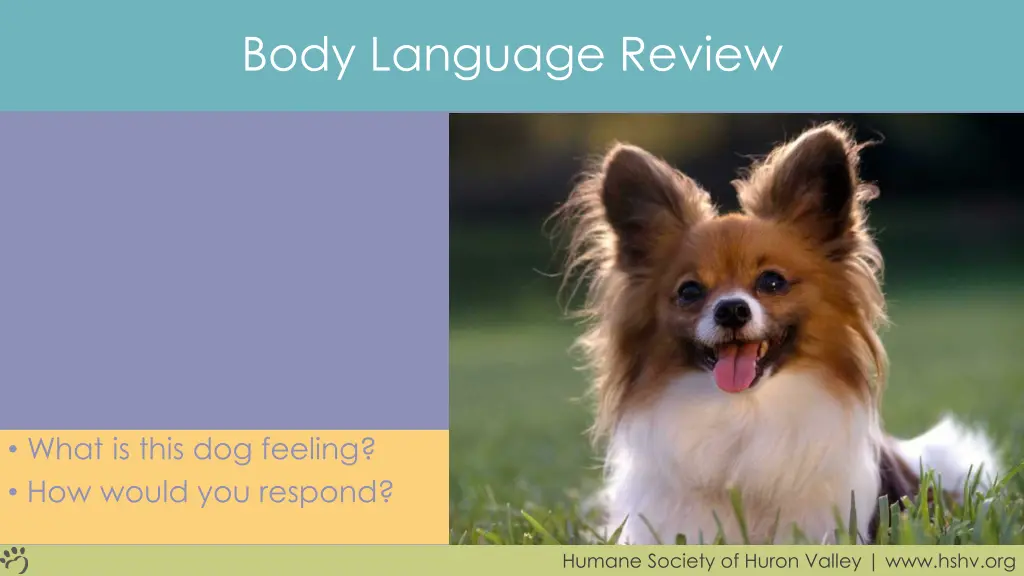 body language review 1