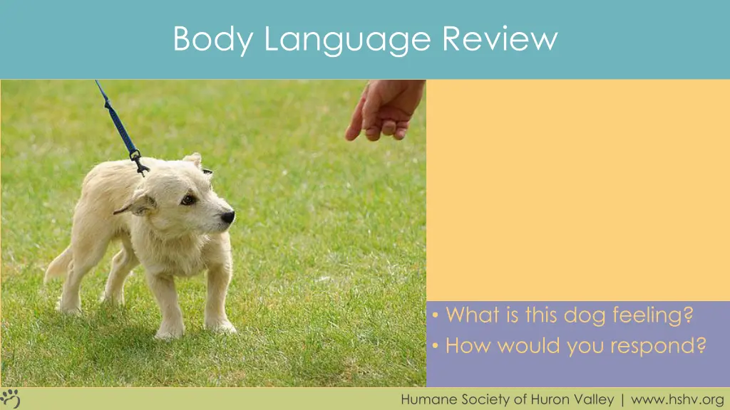 body language review 2