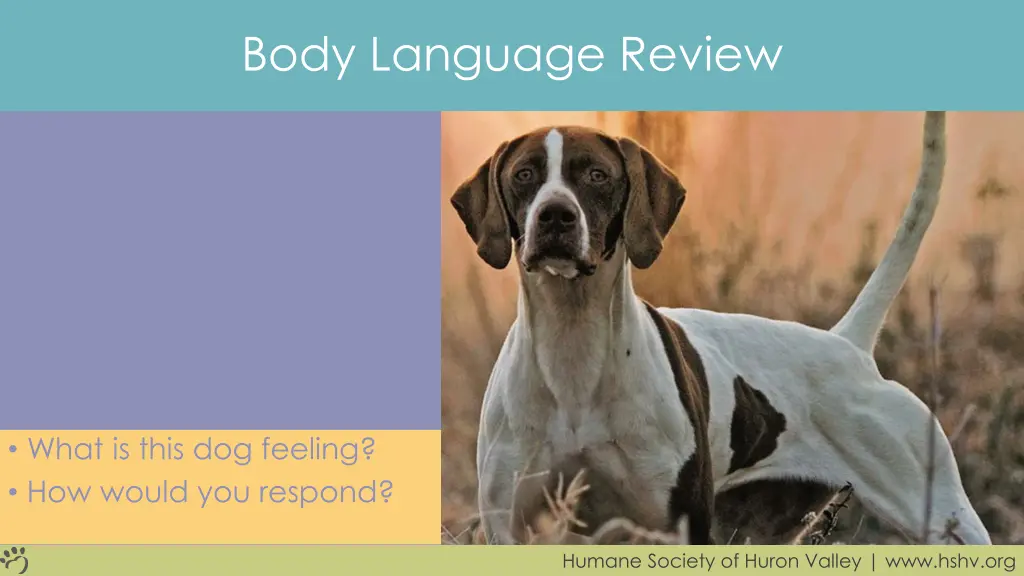 body language review 3