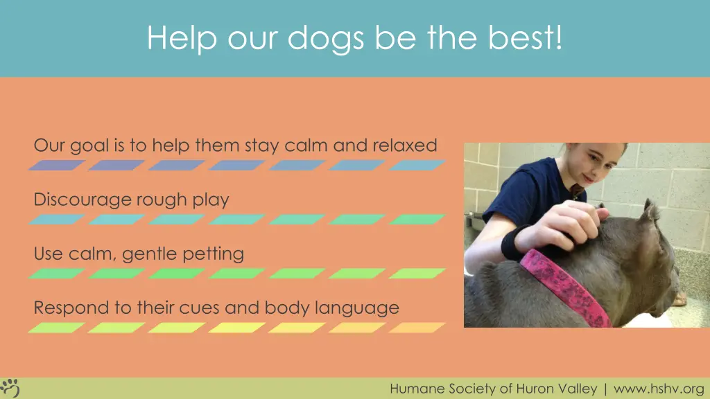 help our dogs be the best