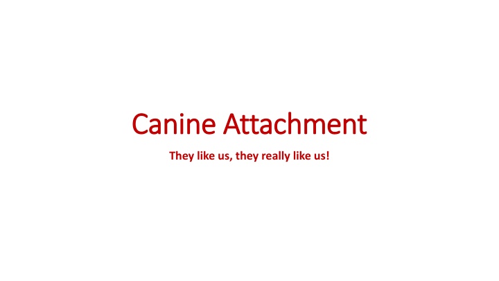 canine attachment canine attachment