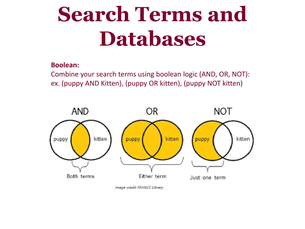 search terms and databases