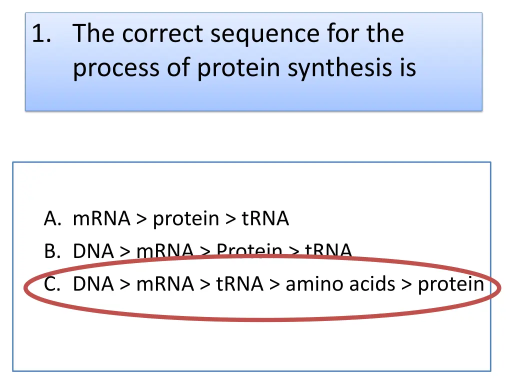 1 the correct sequence for the process of protein 1