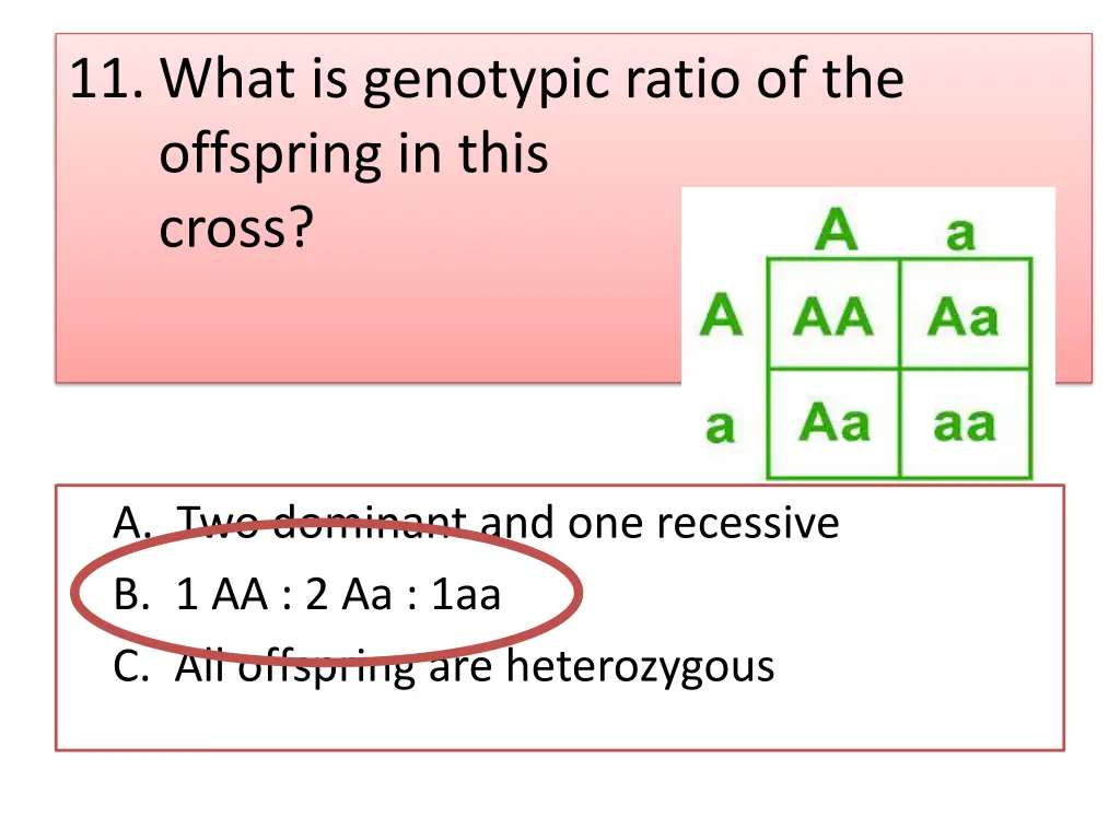 11 what is genotypic ratio of the offspring 1