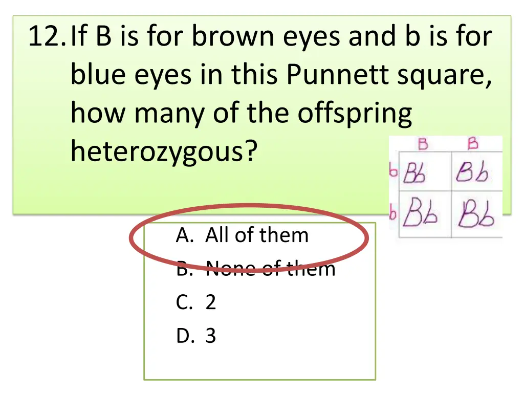 12 if b is for brown eyes and b is for blue eyes 1