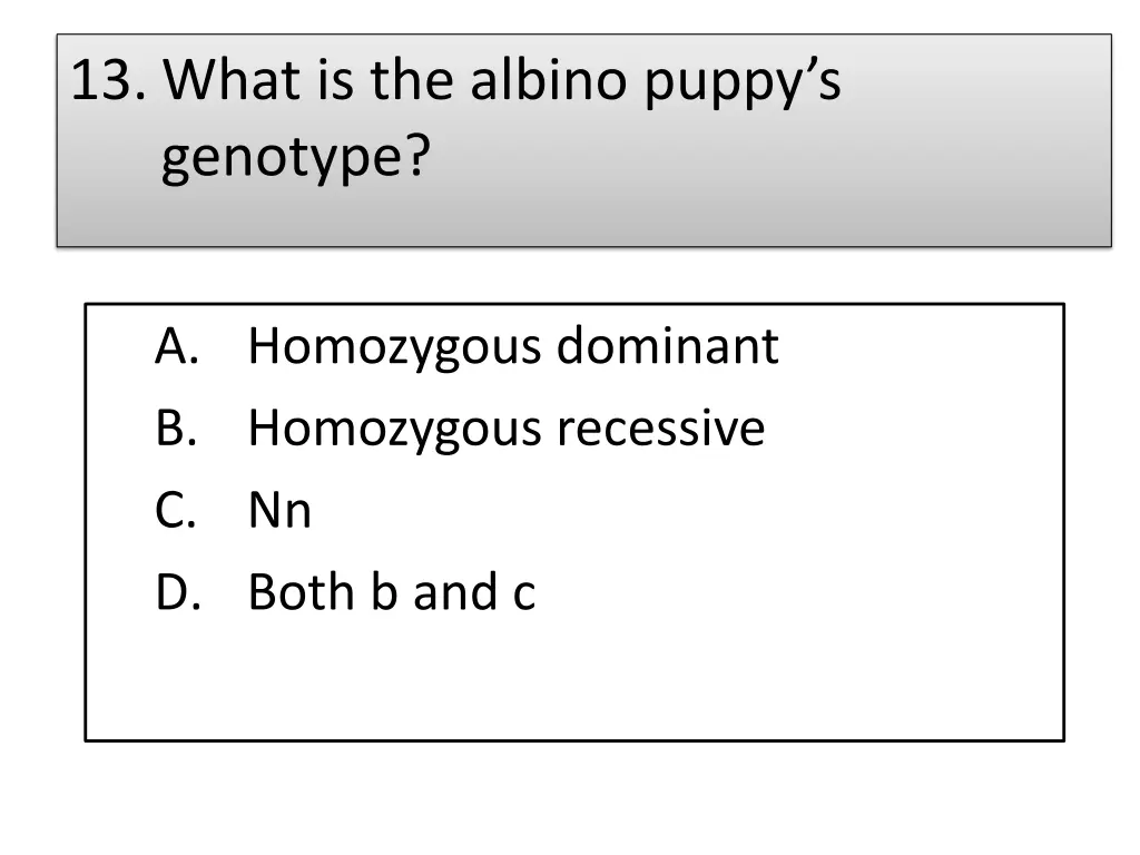 13 what is the albino puppy s genotype