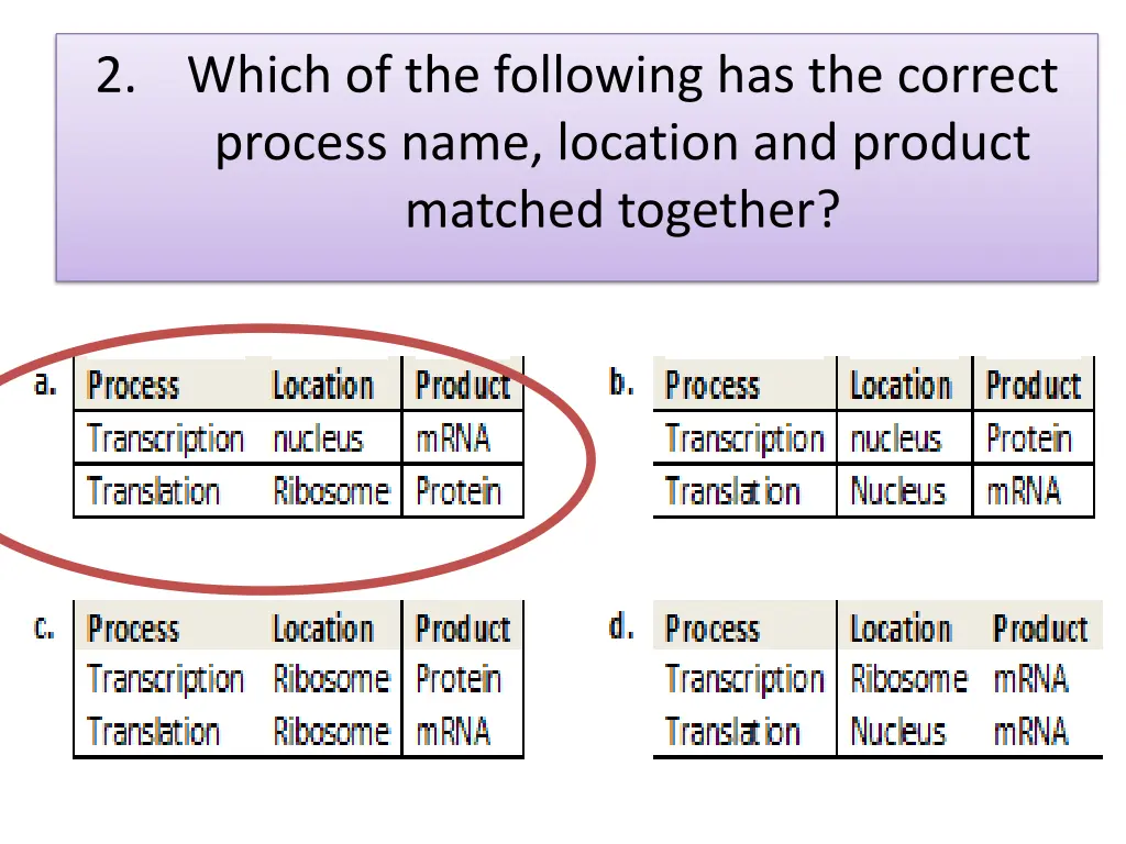 2 which of the following has the correct process 1