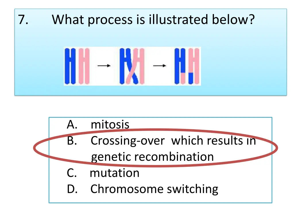 7 what process is illustrated below 1