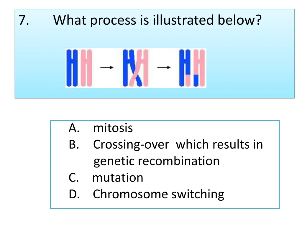 7 what process is illustrated below