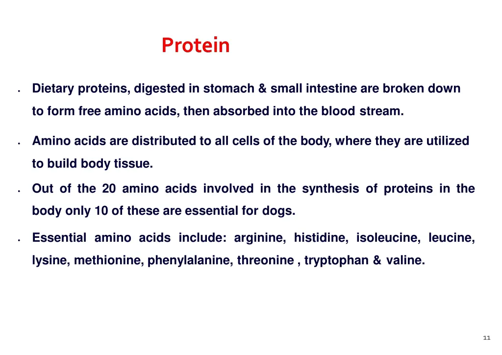 dietary proteins digested in stomach small