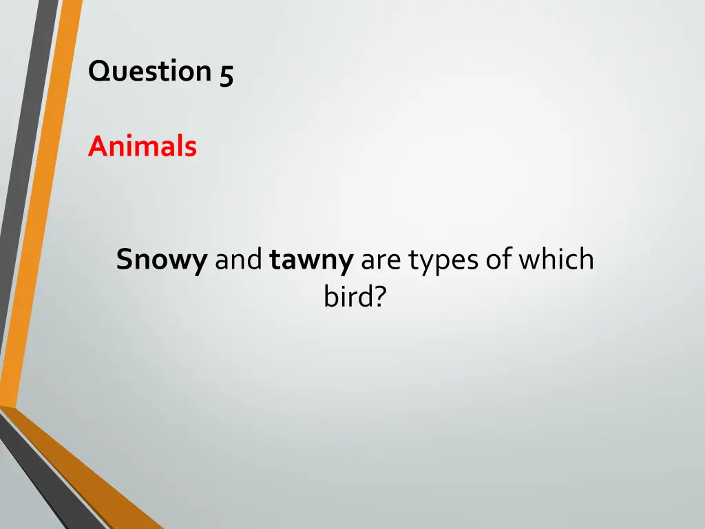 question 5