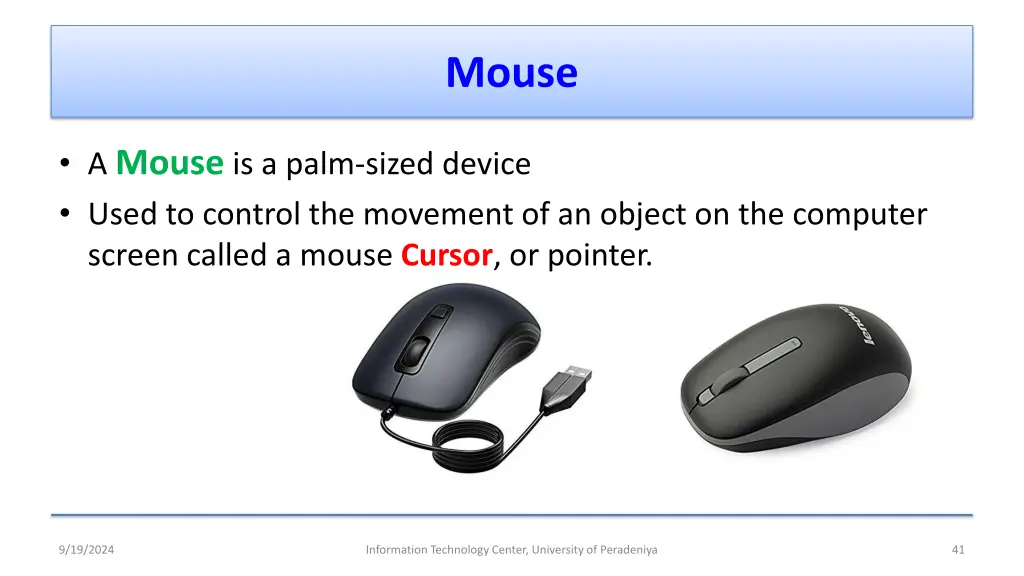 mouse