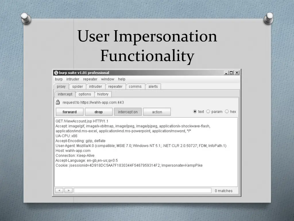 user impersonation functionality 1