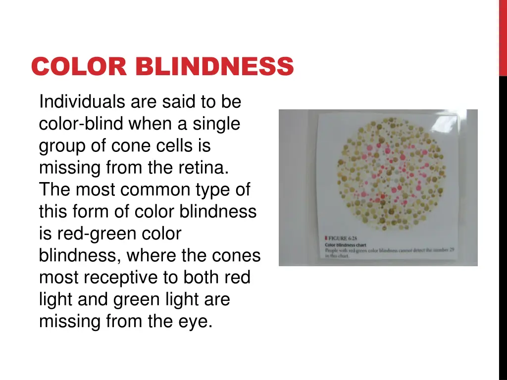 color blindness individuals are said to be color