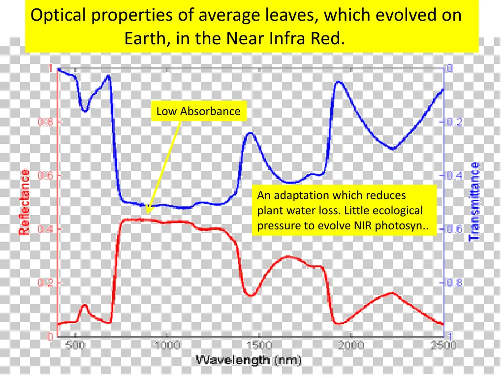 optical properties of average leaves which