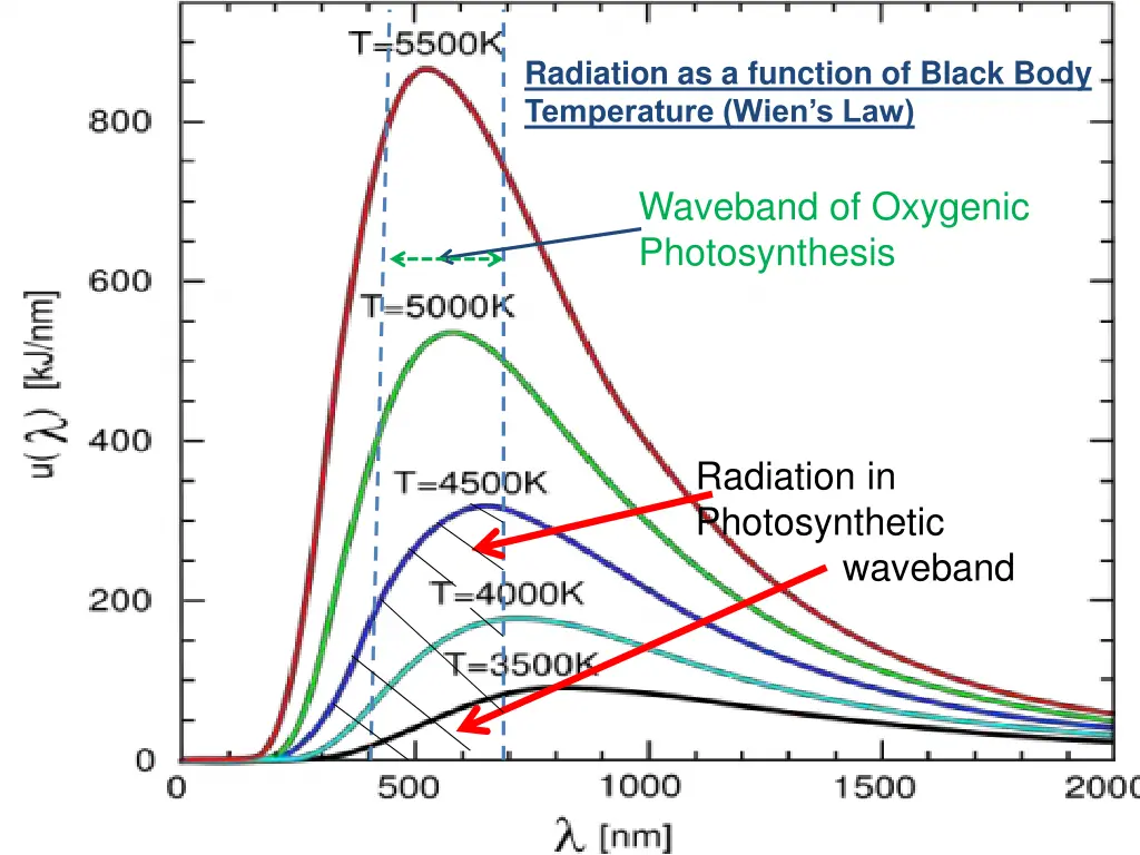 radiation as a function of black body temperature 1