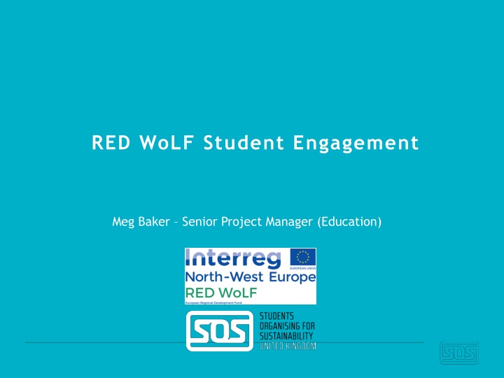 red wolf student engagement