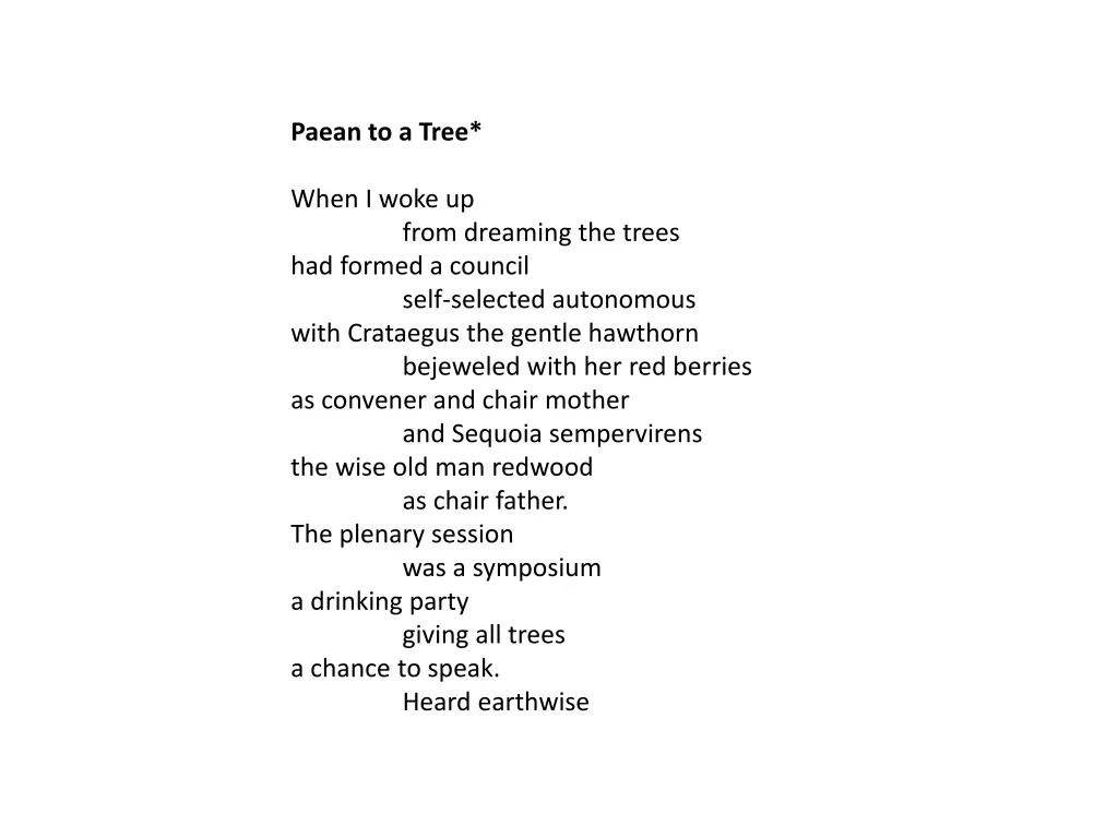 paean to a tree