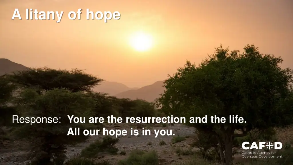 a litany of hope