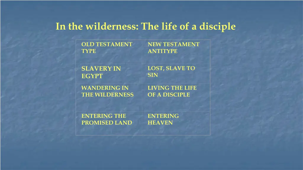 in the wilderness the life of a disciple