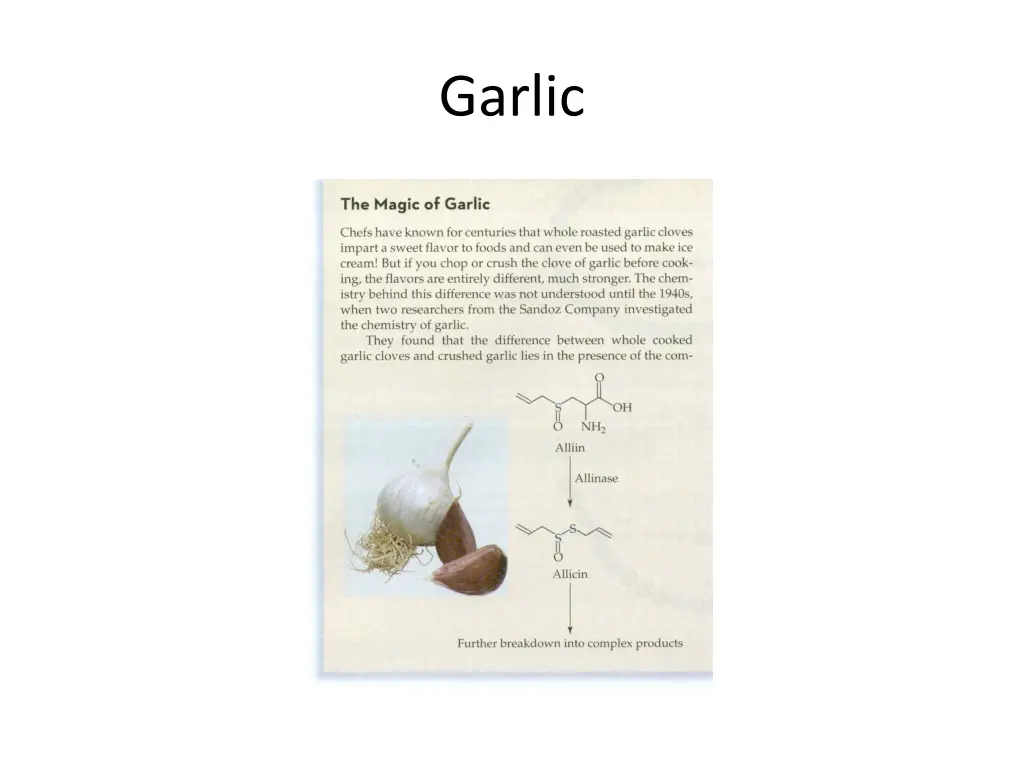 garlic