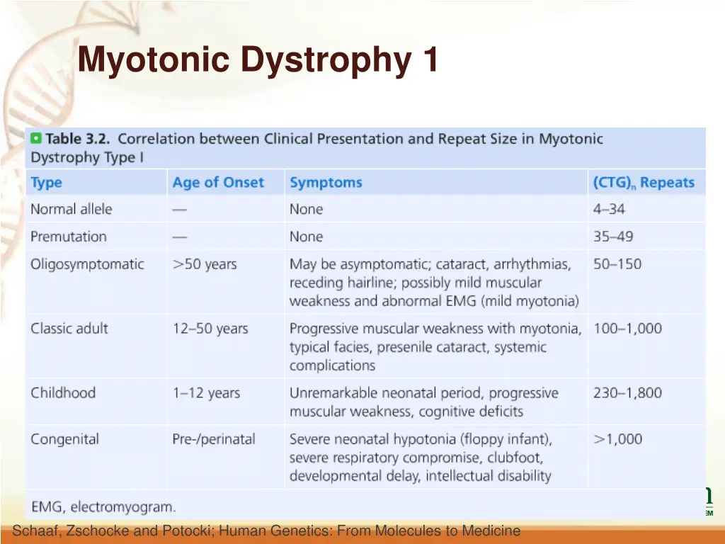 myotonic dystrophy 1