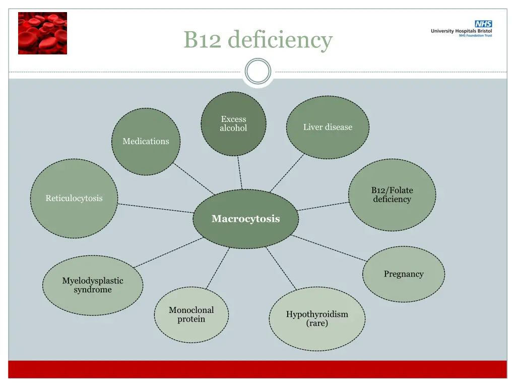 b12 deficiency