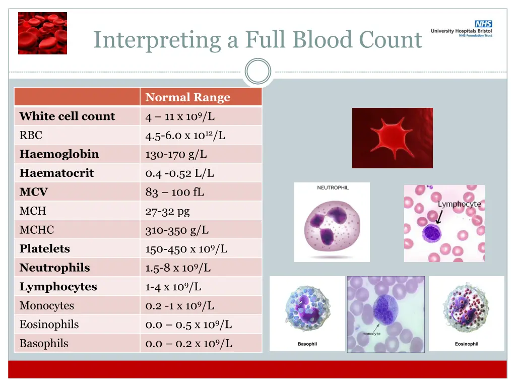 interpreting a full blood count