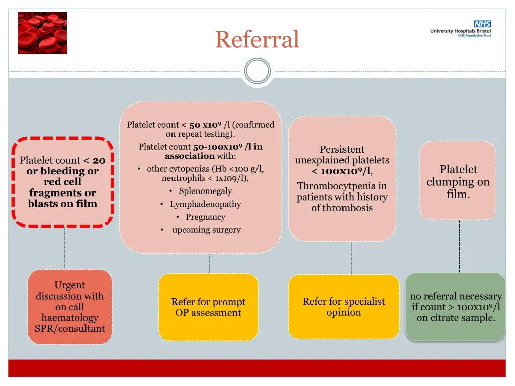 referral 1