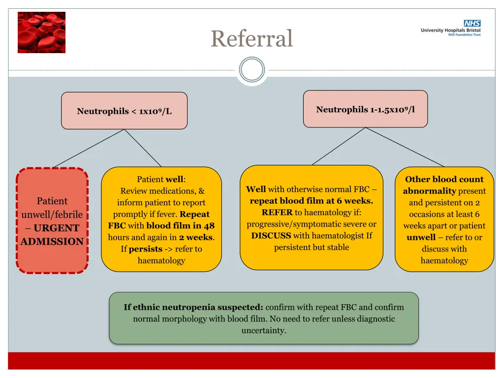 referral 2