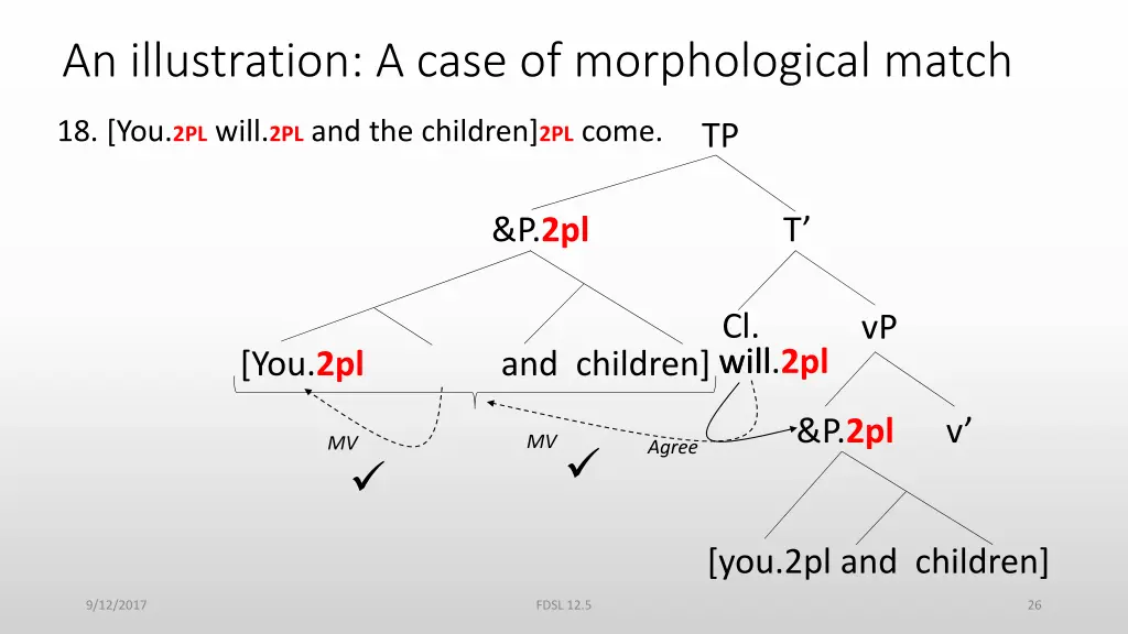 an illustration a case of morphological match 1