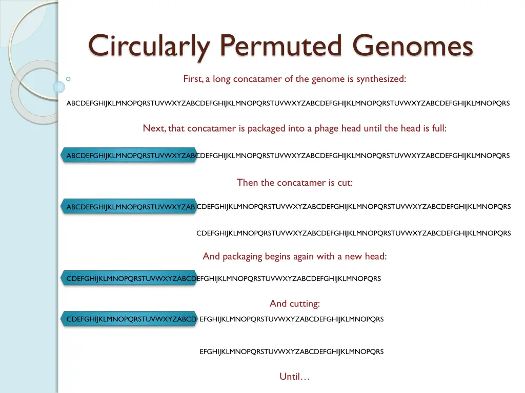 circularly permuted genomes 1