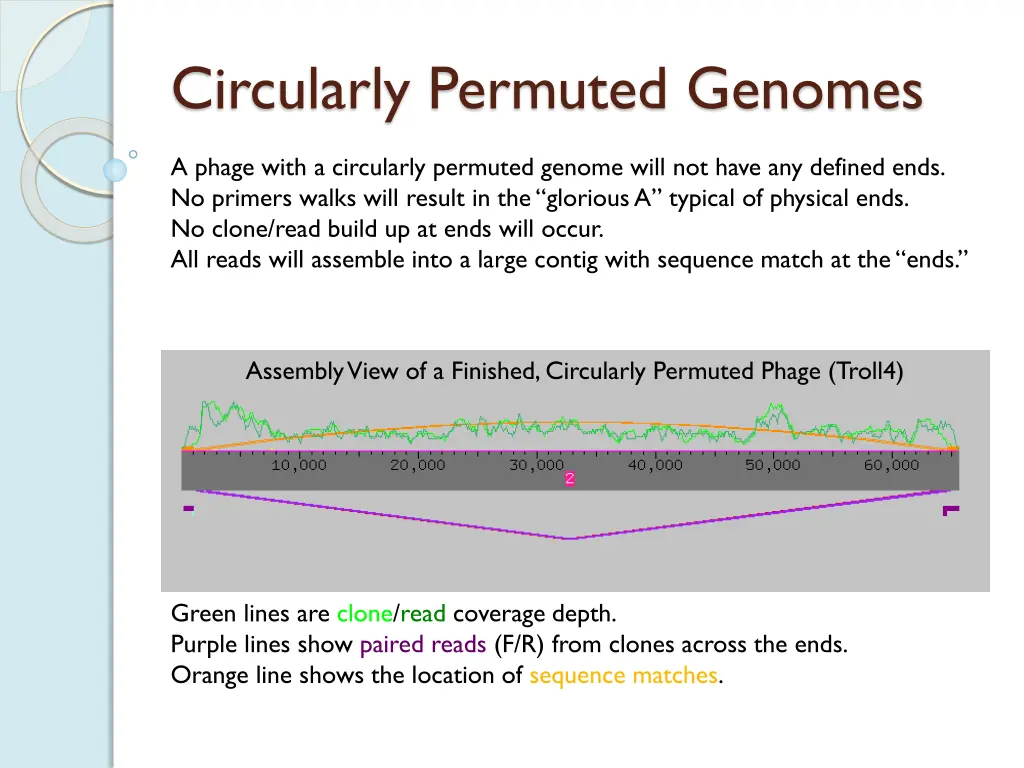 circularly permuted genomes 3