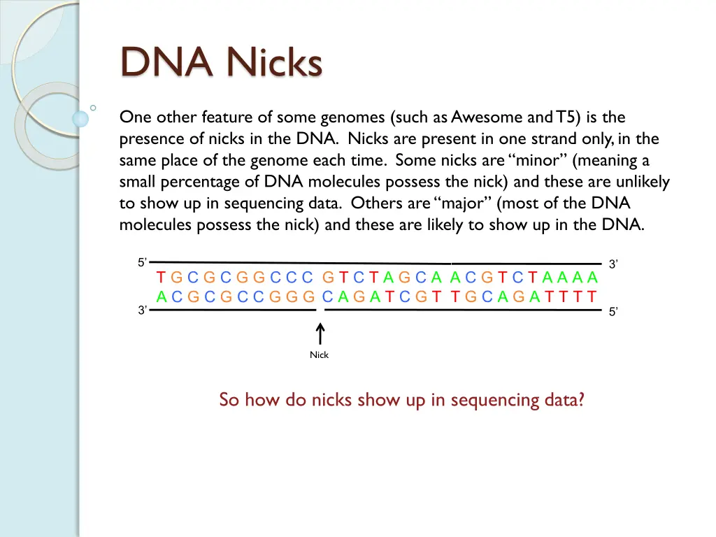 dna nicks