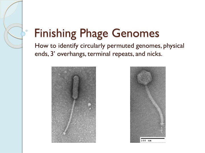 finishing phage genomes how to identify