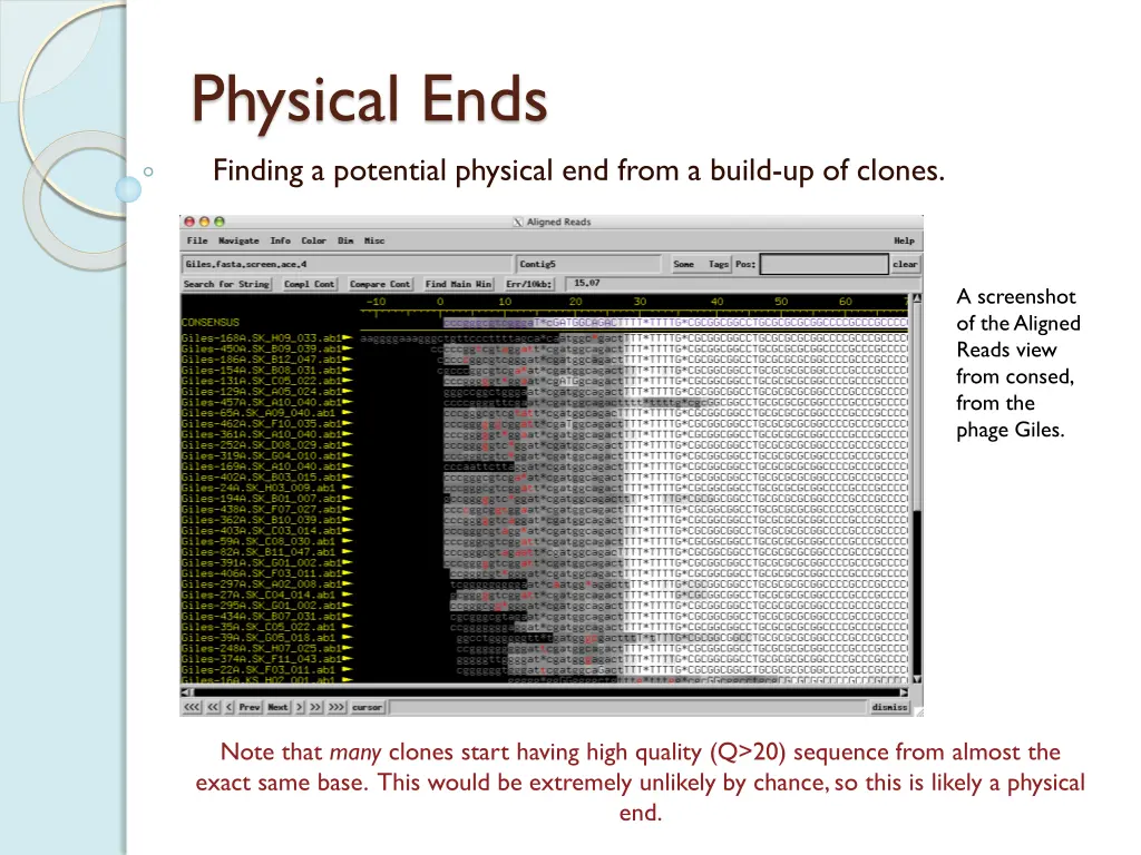 physical ends finding a potential physical