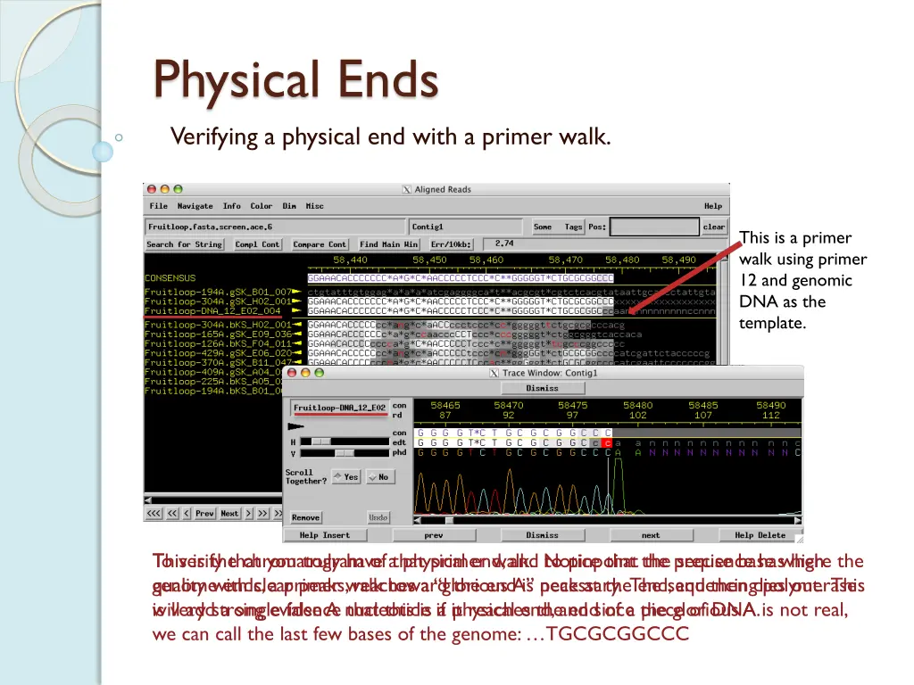 physical ends verifying a physical end with 1