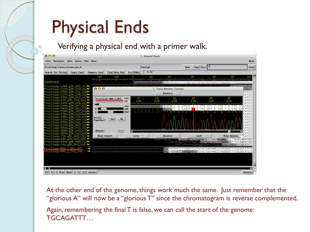 physical ends verifying a physical end with 2