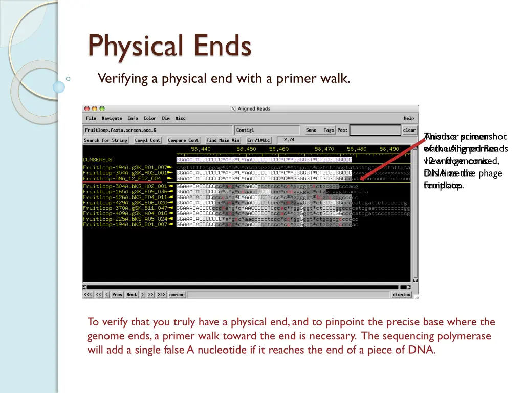 physical ends verifying a physical end with